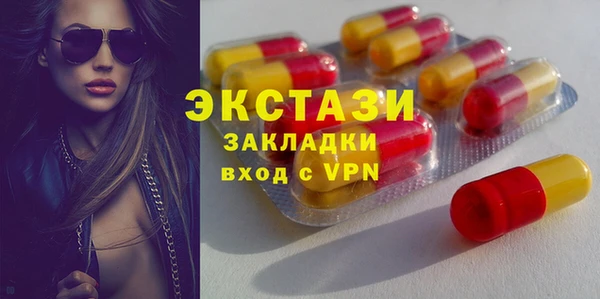стаф Касимов