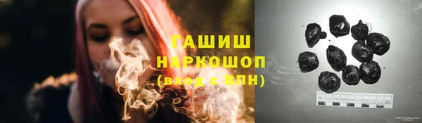 стаф Касимов