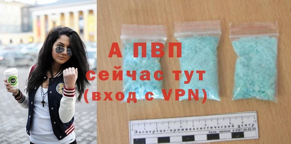стаф Касимов