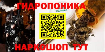 индика Чапаевск