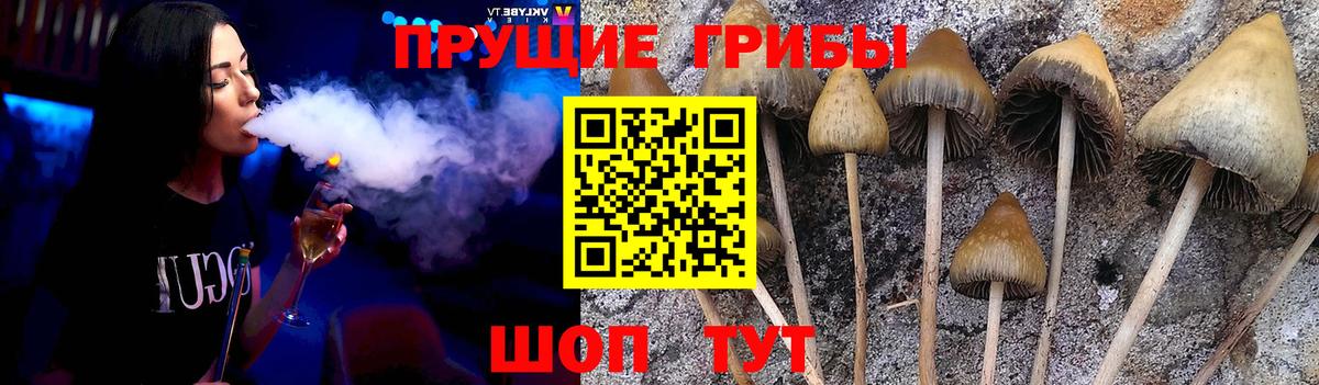 Галлюциногенные грибы Psilocybine cubensis  Вход с VPN  Галлюциногенные грибы Cubensis  Киржач 